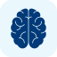 brain (1)