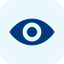 eye (1) (1)