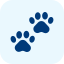 paws (1)
