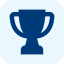 About trophy (1)